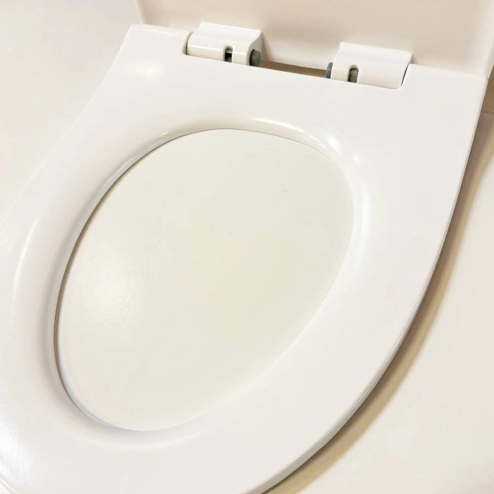 Assento Sanitário Orna Alpes Lucerna 