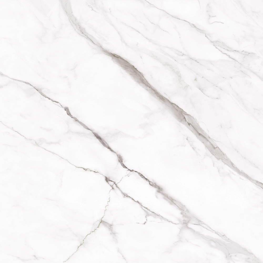 Biancogres Porcelanato 120x120 Calacata Altissimo Satin Retificado