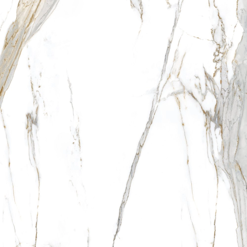 Biancogres Porcelanato 120x120 Calacata Oro Satin Retificado