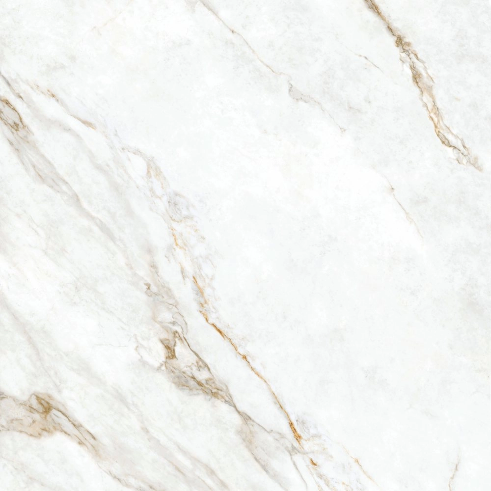 Biancogres Porcelanato 120x120 Marmo Perla Velvet Retificado