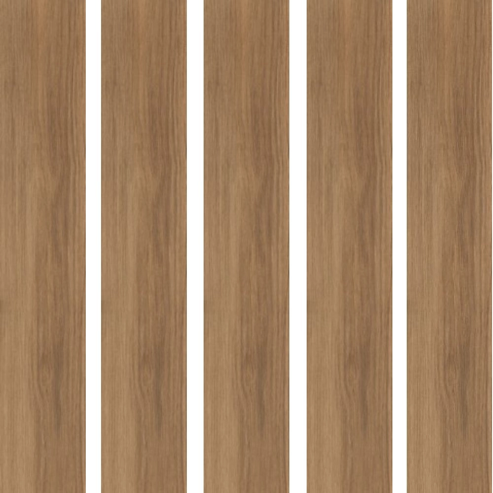 Biancogres Porcelanato 20x120 Arbo Rosso Retificado