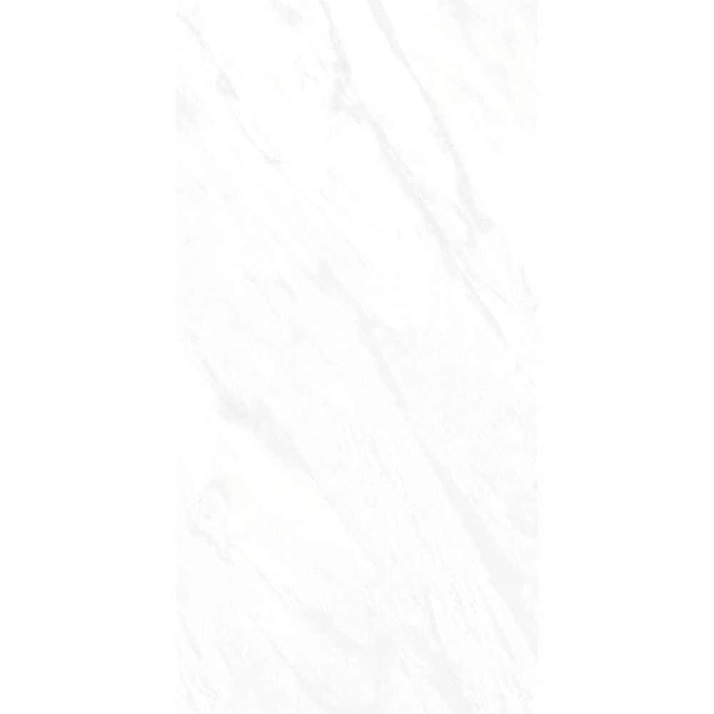 Biancogres Porcelanato 60x120 Frozen Lux Retificado