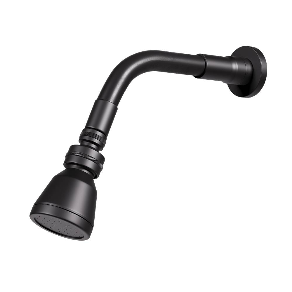 Chuveiro Articulado de Parede Flex Fani 3000 BK99
