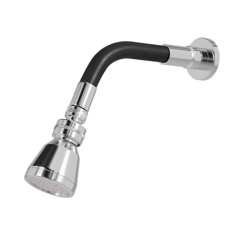 Chuveiro Articulado de Parede Flex Fani 3000 C99