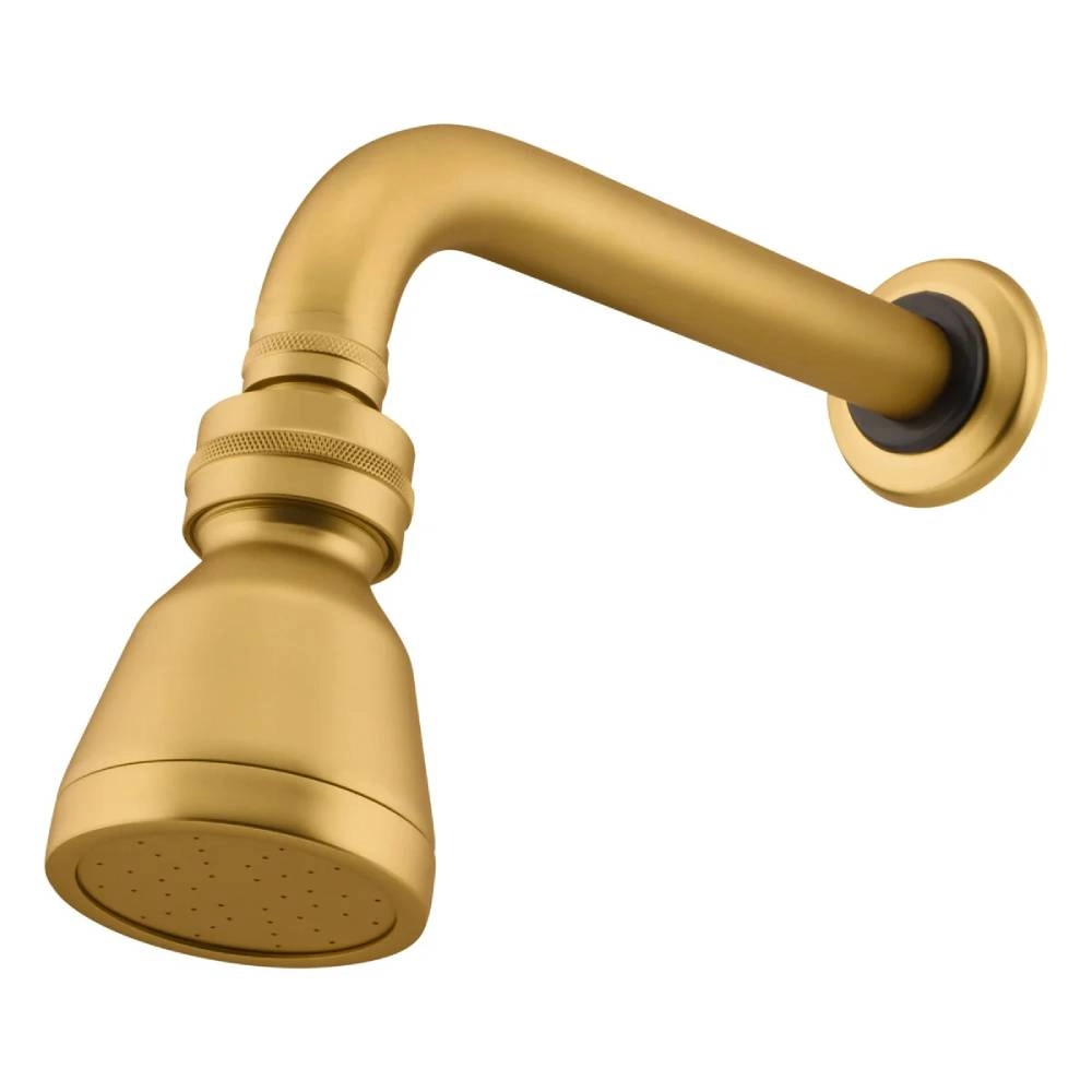 Chuveiro Articulado de Parede Ouro Preto Fani 3000 DV53