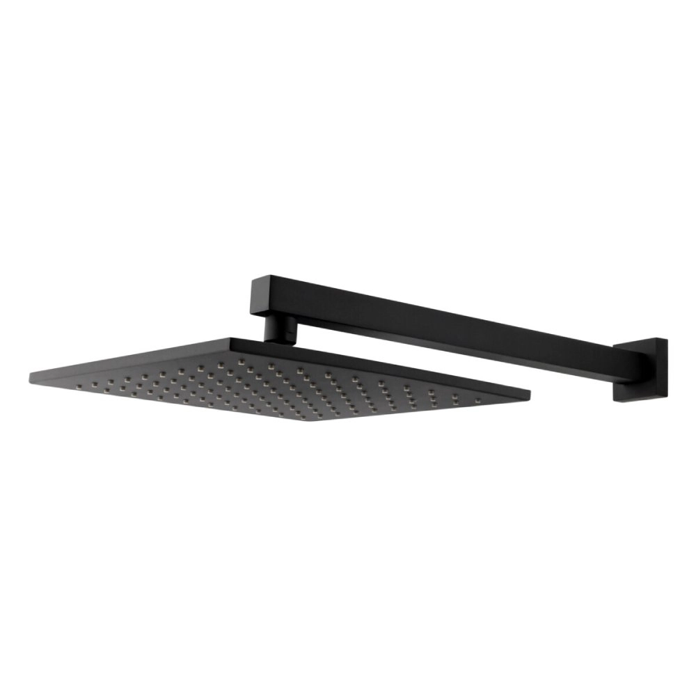 Chuveiro Articulado de Parede Platina Fani 3000 BK400