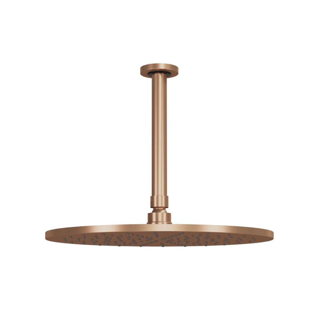 Chuveiro Articulado de Teto Atenas Fani 3150 CH600