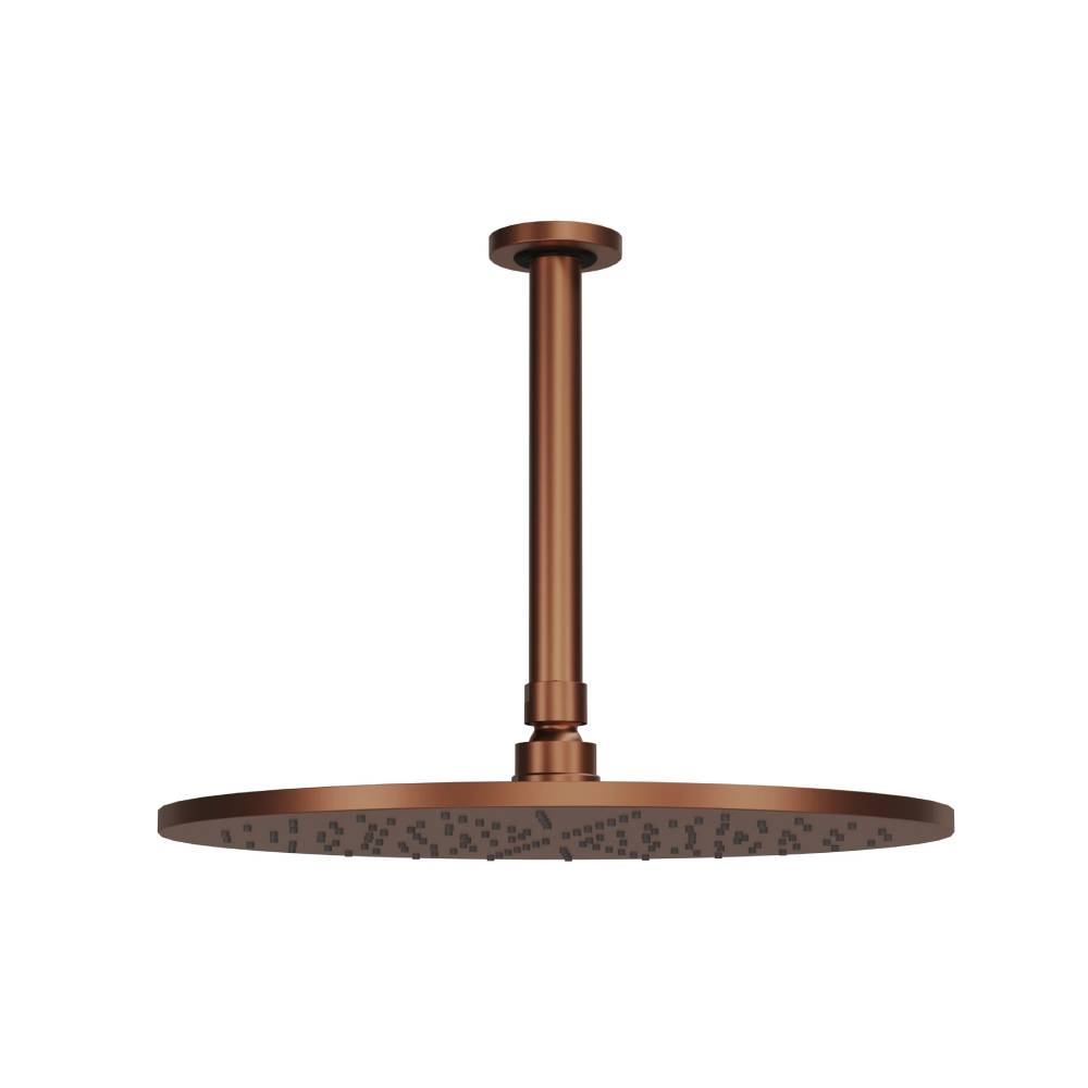 Chuveiro Articulado de Teto Atenas Fani 3150 RV600