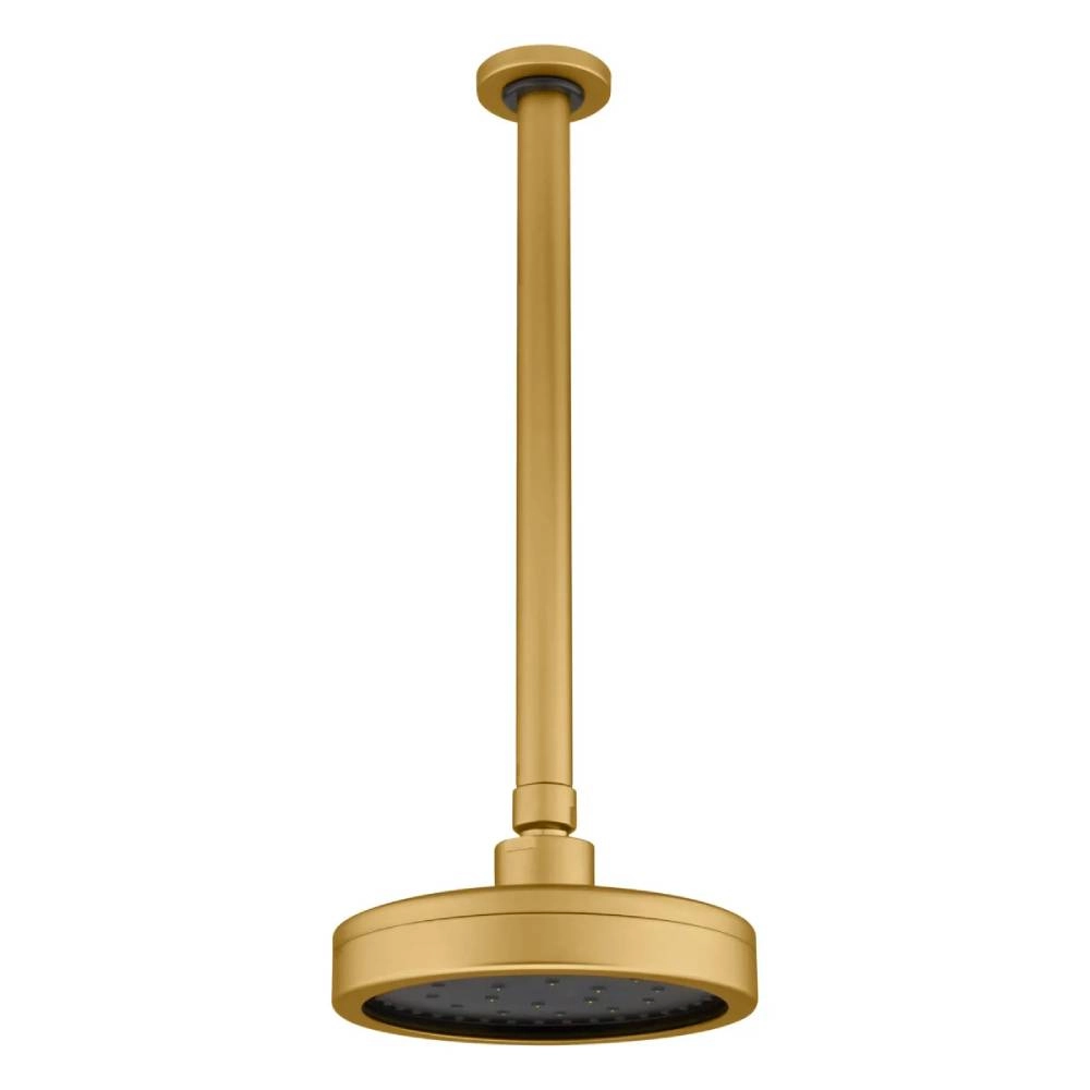 Chuveiro Articulado de Teto Autolimpante com Haste 30cm 3100 DV501