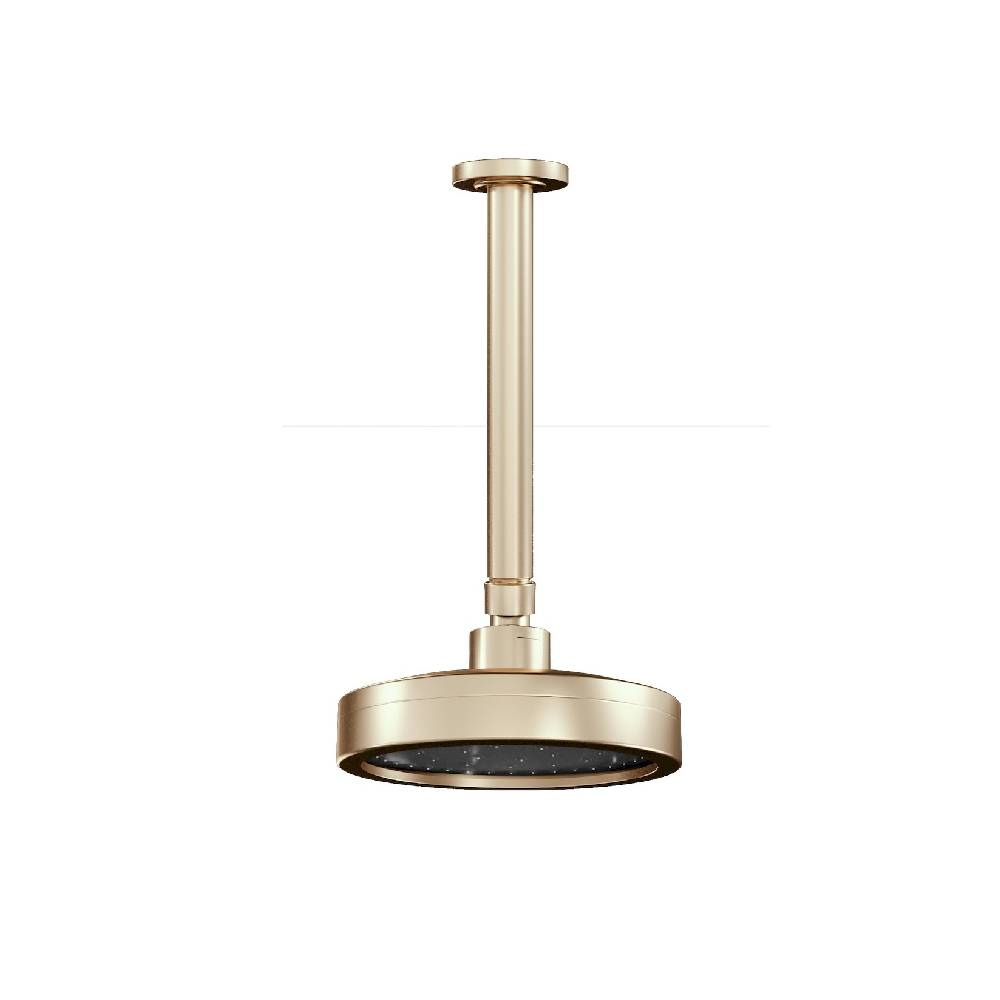 Chuveiro Articulado de Teto Autolimpante com Haste de 20cm Fani 3150 CH501