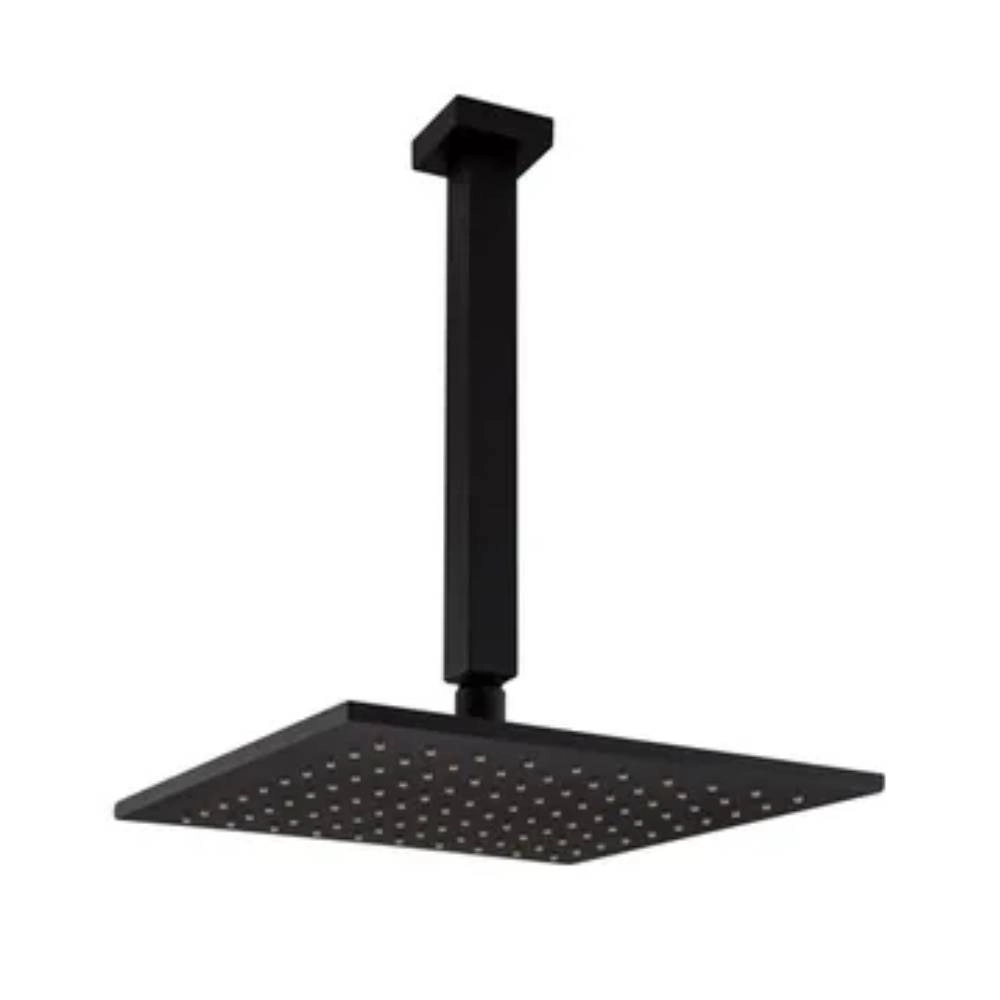 Chuveiro Articulado de Teto Fani 3100 BK640 