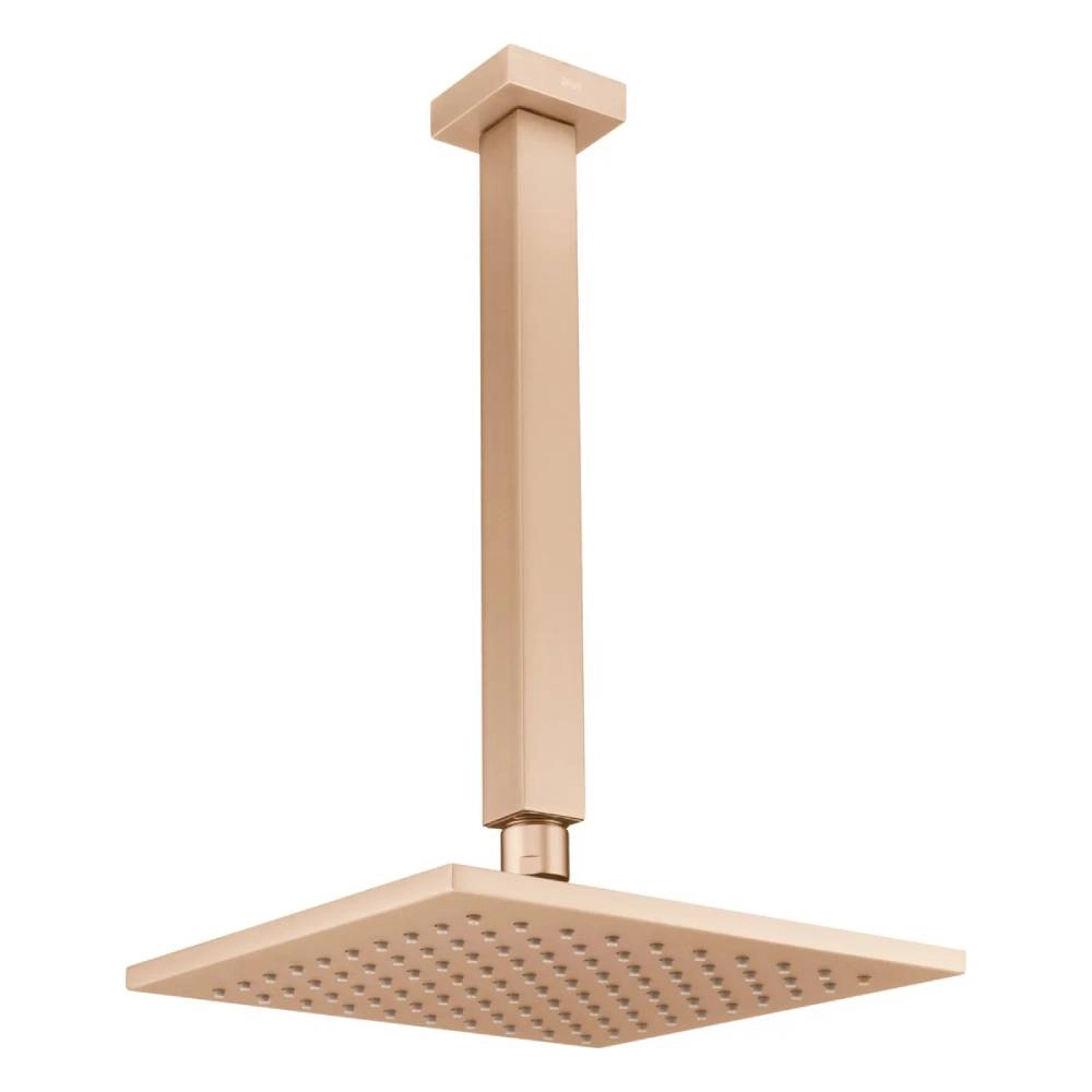 Chuveiro Articulado de Teto Fani 3100 CH120