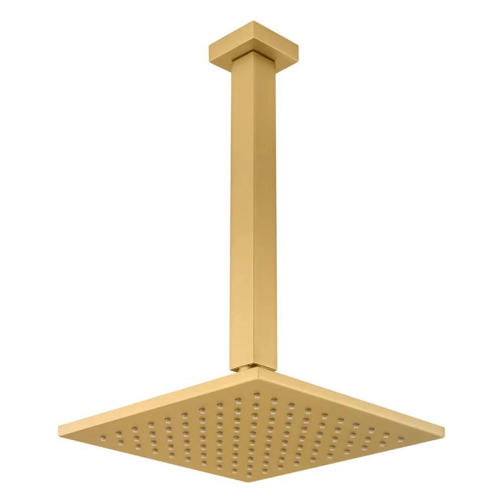 Chuveiro Articulado de Teto Fani 3100 DV120 