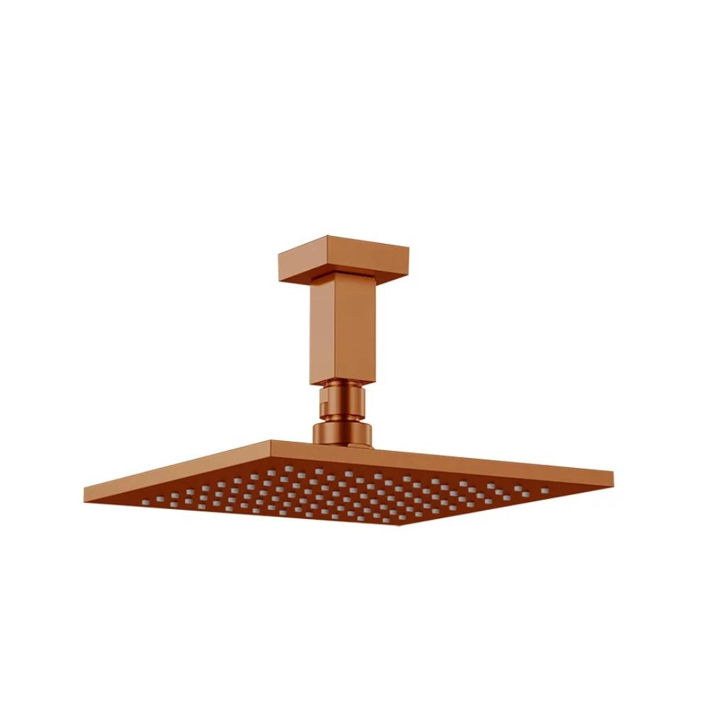 Chuveiro Articulado de Teto Fani 3200 RV120