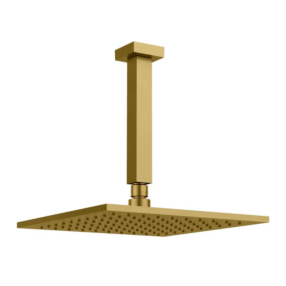 Chuveiro Articulado de Teto Fani Linha Platina 3150 DV400