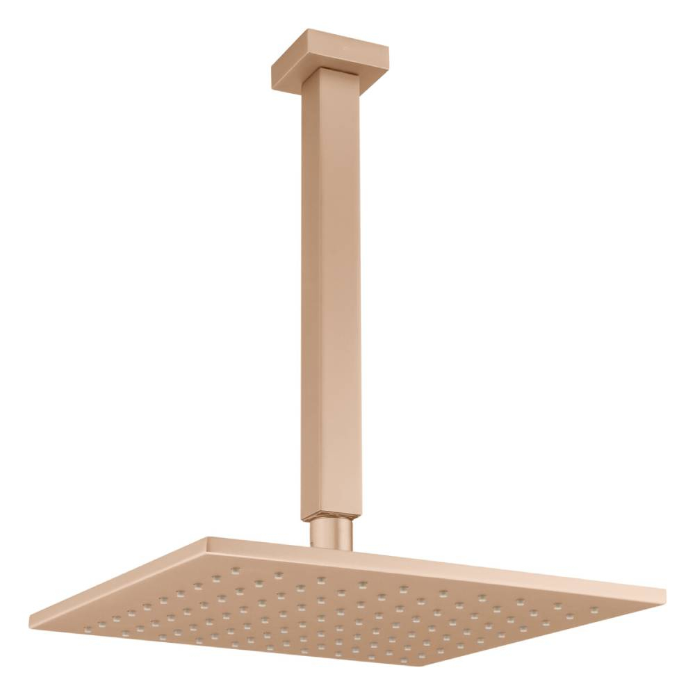 Chuveiro Articulado de Teto Platina Fani 3100 CH400