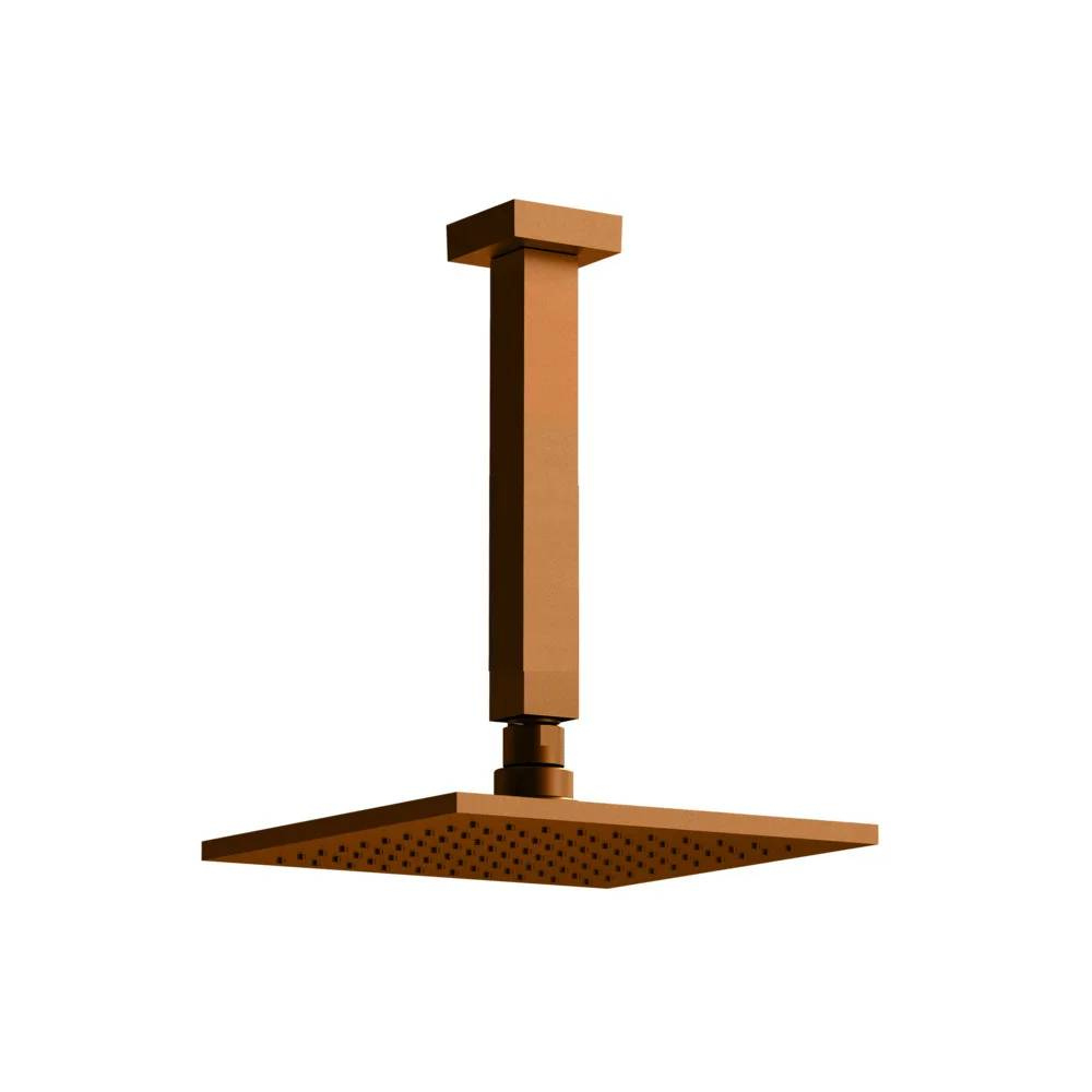 Chuveiro Articulado de Teto Versata Fani 3150 RV120