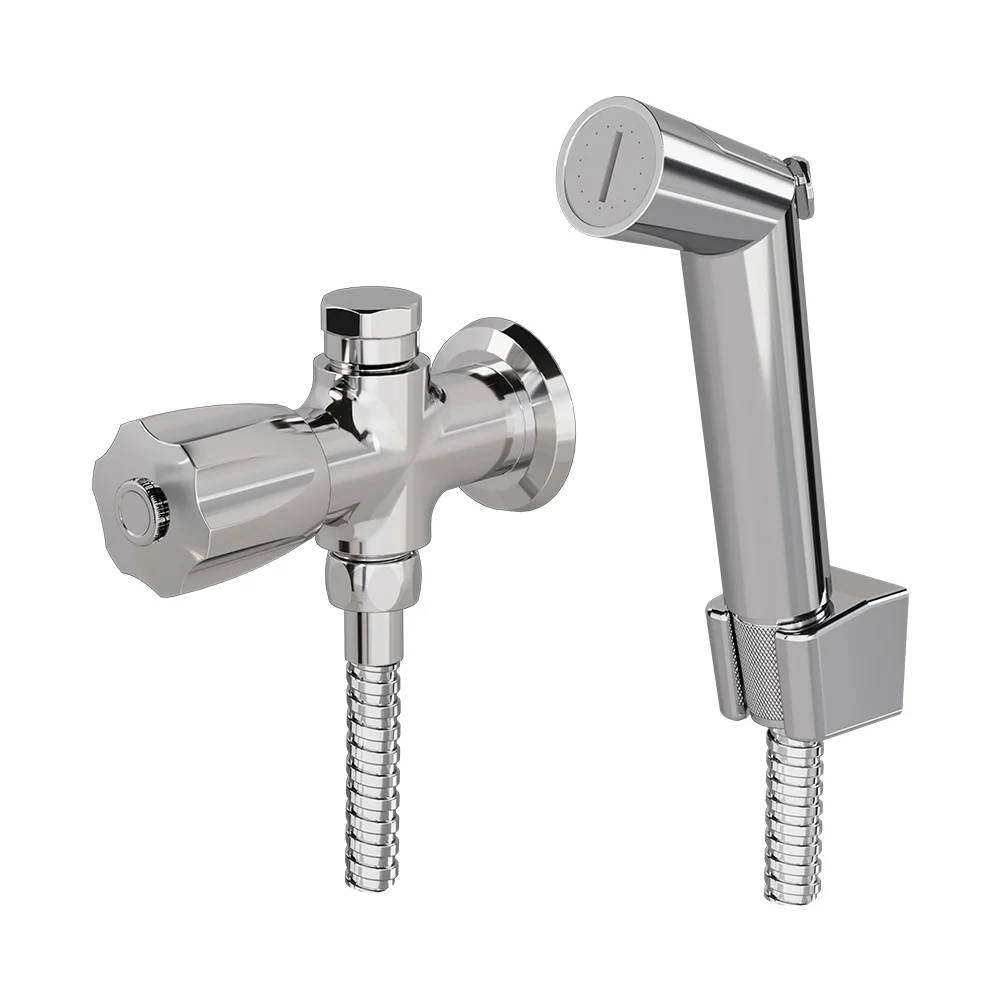 Ducha Higiênica com Derivação Fani Prata 1745 C50 1/2