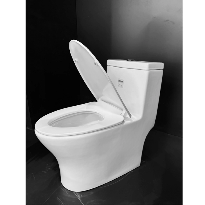 Bacia Monobloco Orna Alpes Berna Bacia Monobloco Orna Alpes Berna