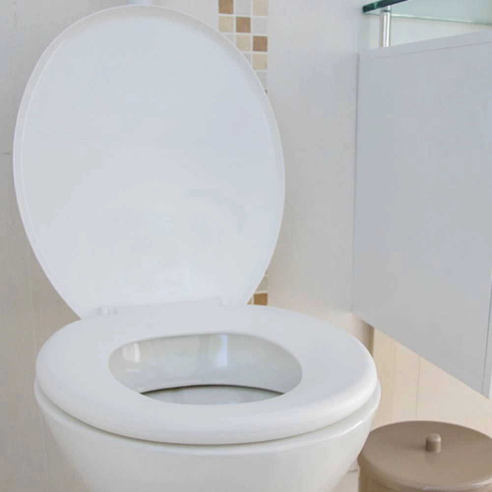 Assento Astra Soft TPJ/AS*BR1 Araxa Assento Astra Soft TPJ/AS*BR1 Araxa