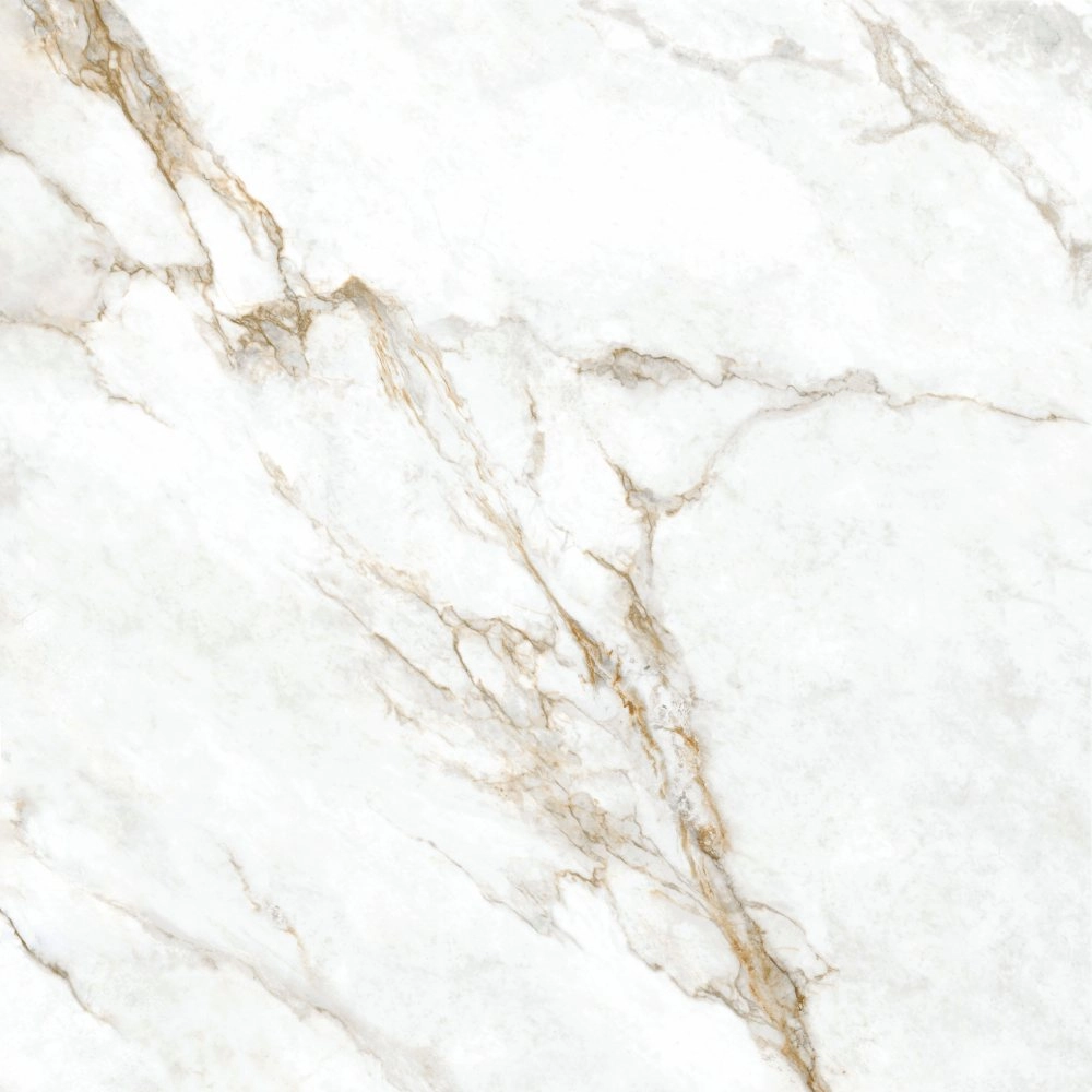 Biancogres Porcelanato 120x120 Marmo Perla Velvet Retificado