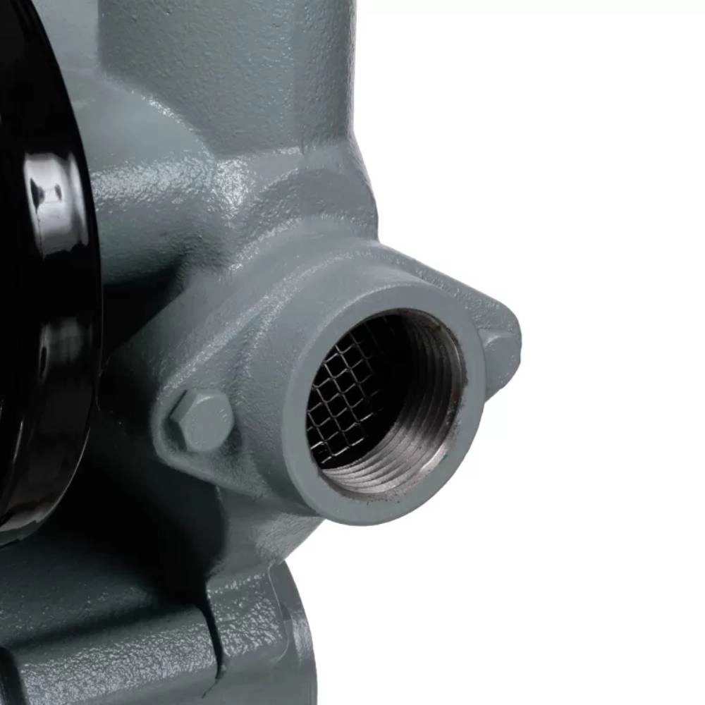 Bomba com vaso de expansão Rinnai 1/2 CV BIV FLUX-PRESS RB050DV7