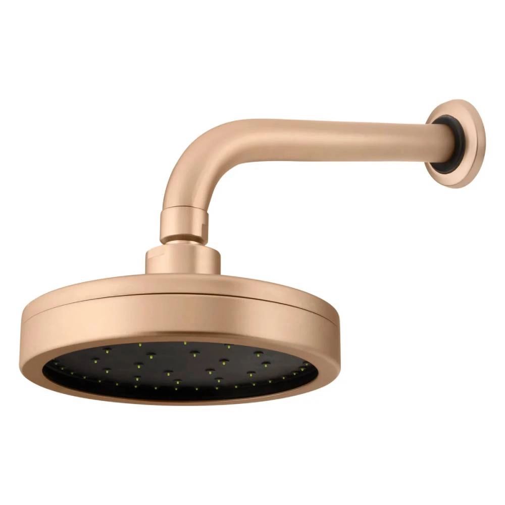 Chuveiro Articulado de Parede Fani 3000  CH500 