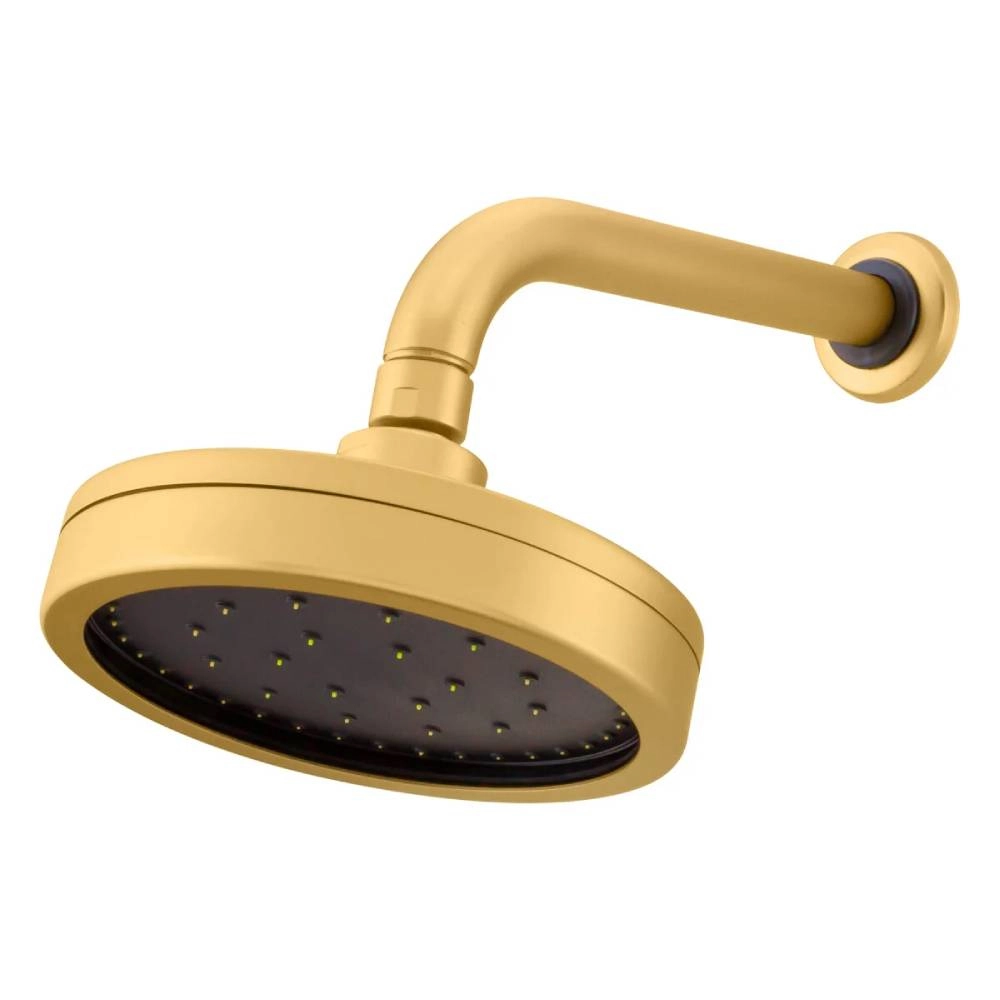 Chuveiro Articulado de Parede Fani 3000 DV500 Chuveiro Articulado de Parede Fani 3000 DV500