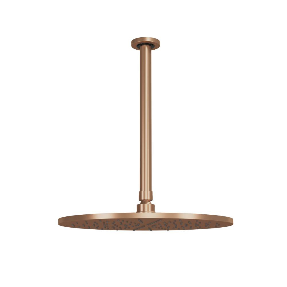 Chuveiro Articulado de Teto Atenas Fani 3100 CH600