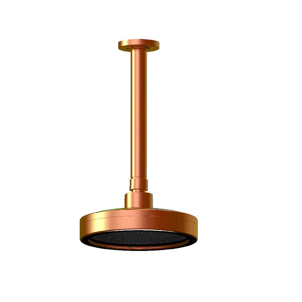 Chuveiro Articulado de Teto Autolimpante com Haste de 20cm Fani 3150 RV501