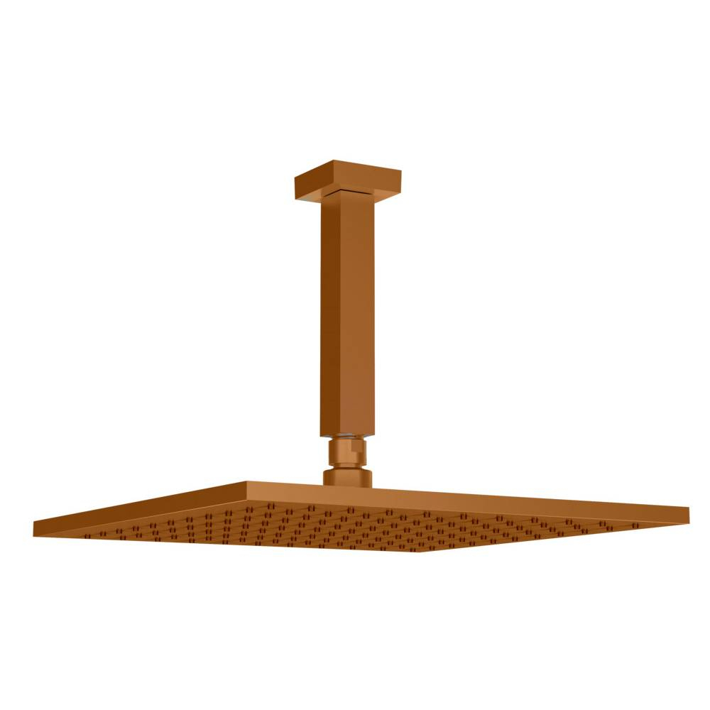 Chuveiro Articulado de Teto Eros Fani 3150 RV640 Chuveiro Articulado de Teto Eros Fani 3150 RV640