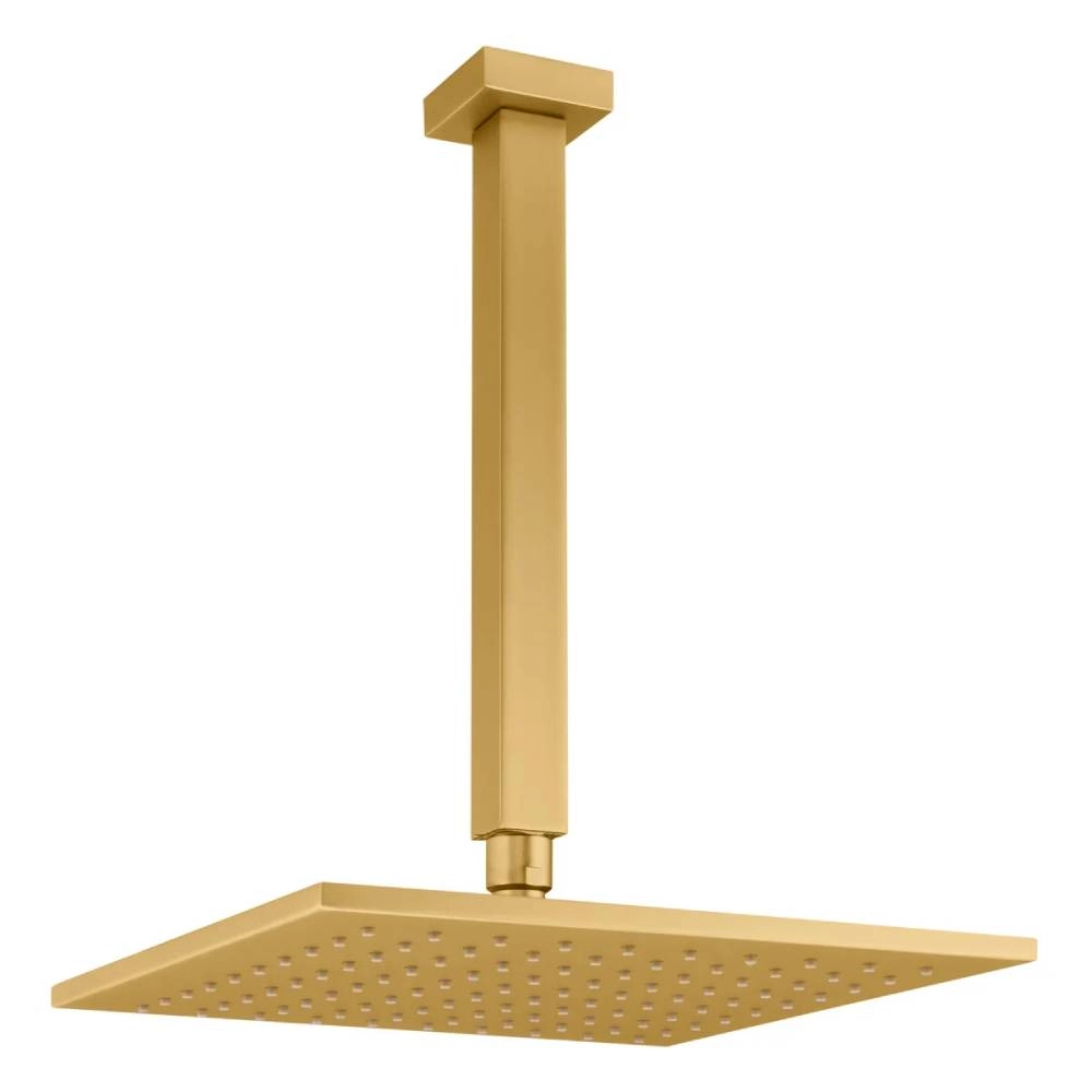 Chuveiro Articulado de Teto Fani 3100 DV400