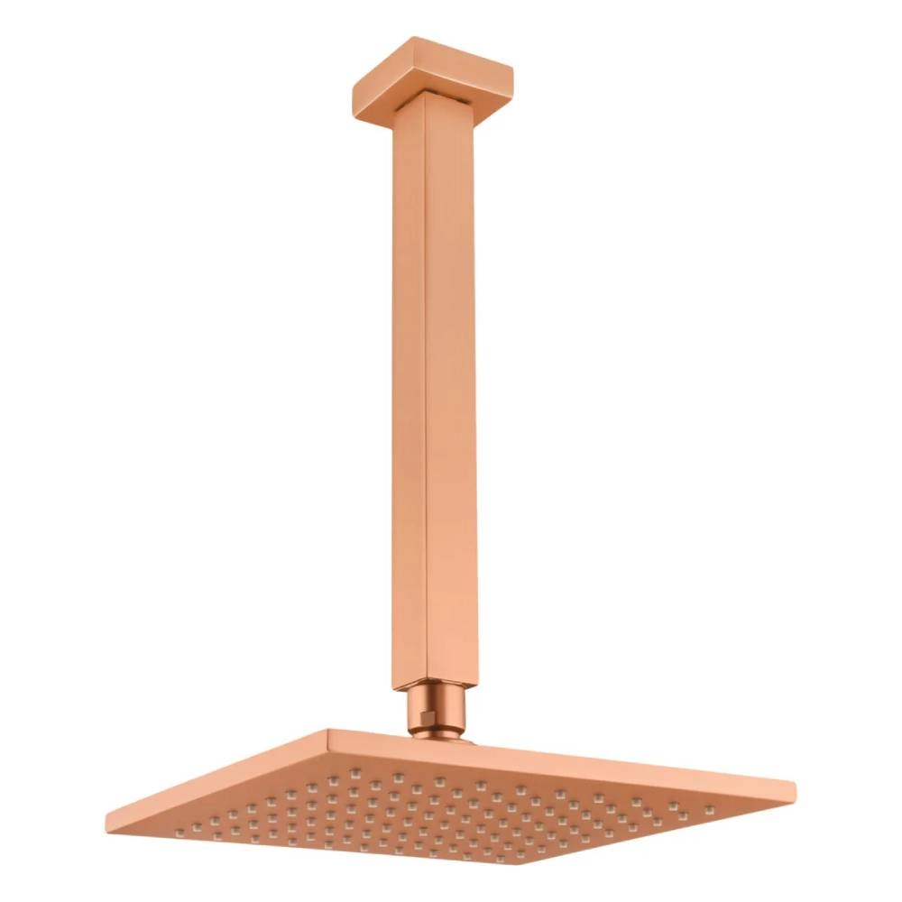 Chuveiro Articulado de Teto Fani 3100 RV120 