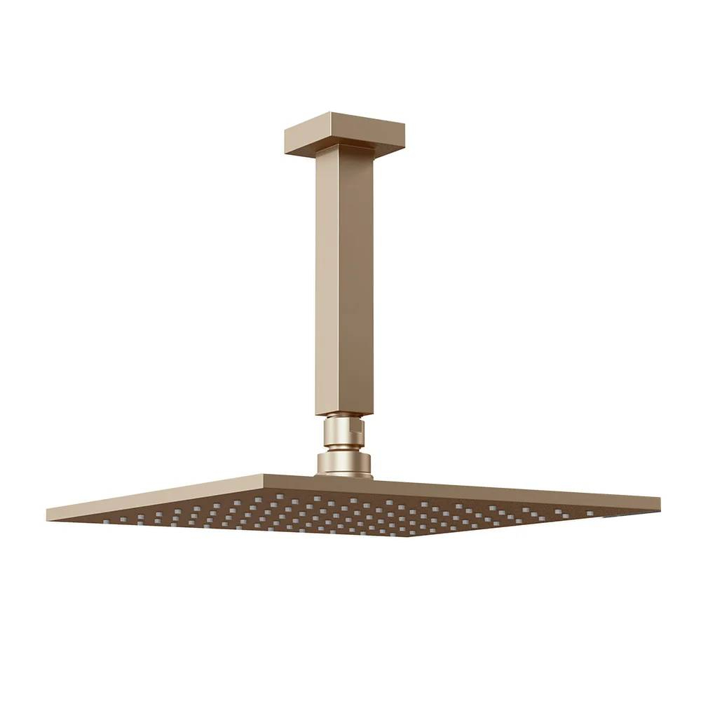 Chuveiro Articulado de Teto Fani Linha Platina 3150 CH400 Chuveiro Articulado de Teto Fani Linha Platina 3150 CH400