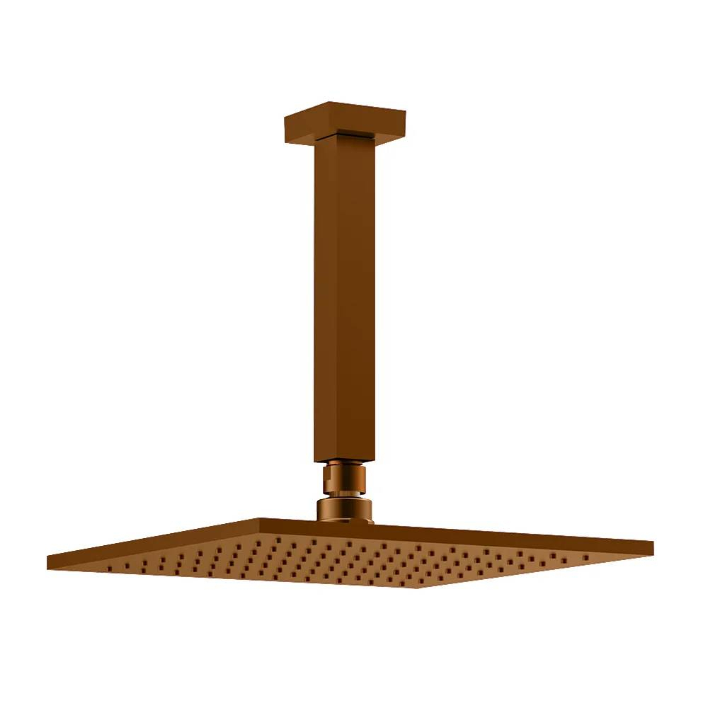 Chuveiro Articulado de Teto Fani Linha Platina 3150 RV400