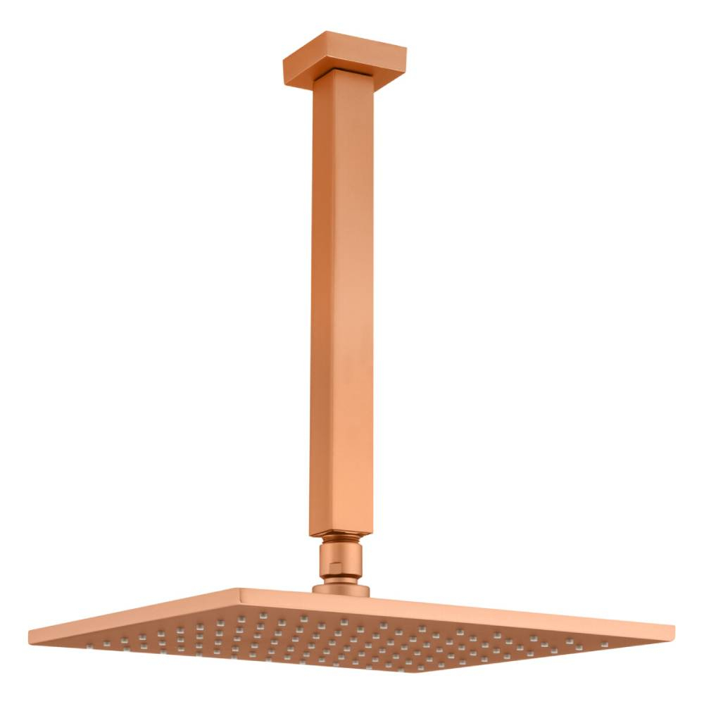 Chuveiro Articulado de Teto Platina Fani 3100 RV400