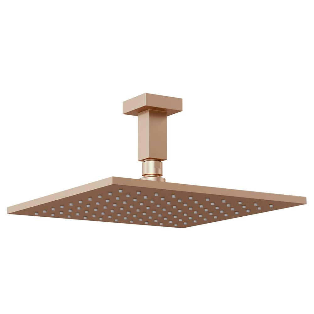 Chuveiro Articulado de Teto Platina Fani 3200 CH400 Chuveiro Articulado de Teto Platina Fani 3200 CH400