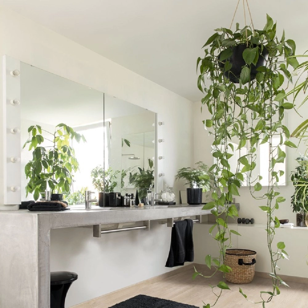 Piso Laminado Nesto Brisa de Verão Quick Step