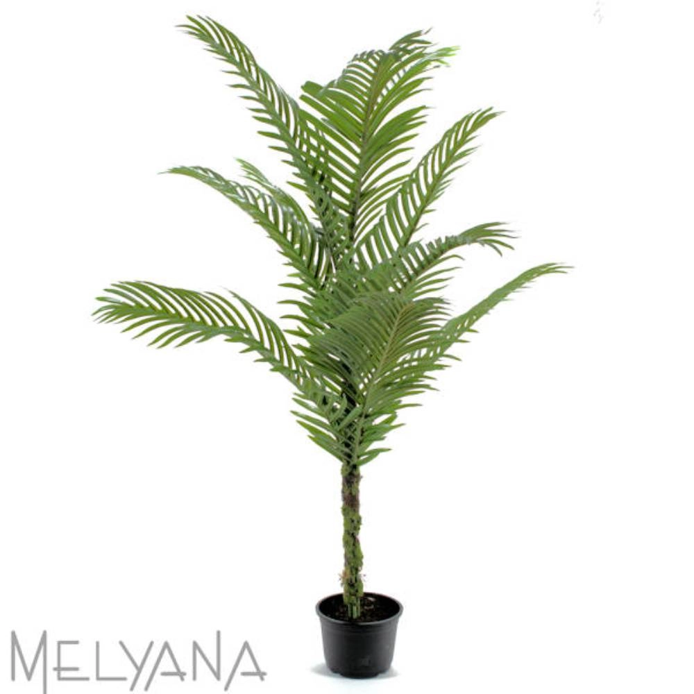 Planta Permanente Melyana Arvore Areca 1,39m