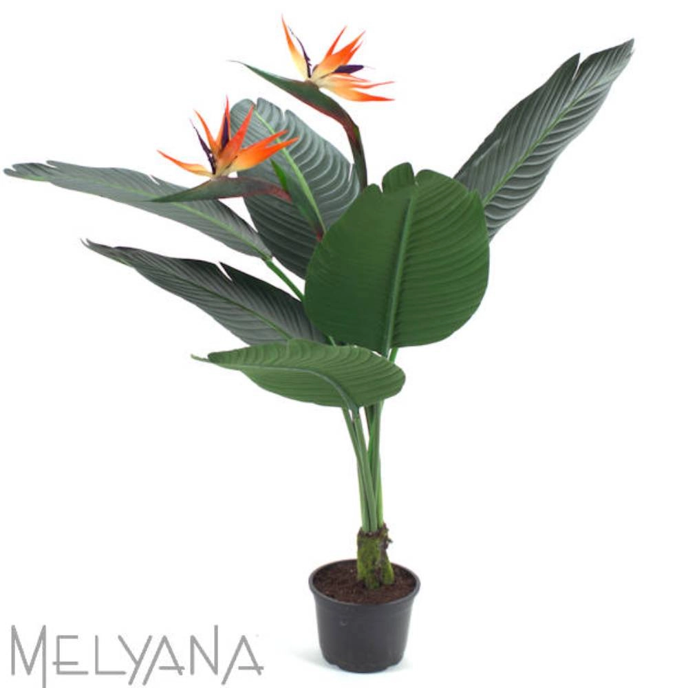 Planta Permanente Melyana Árvore Strelitza 96 cm