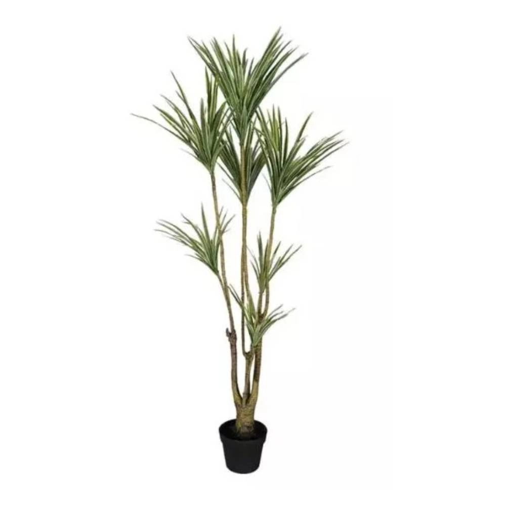 Planta Permanente Melyana  Dracena 1,50m 