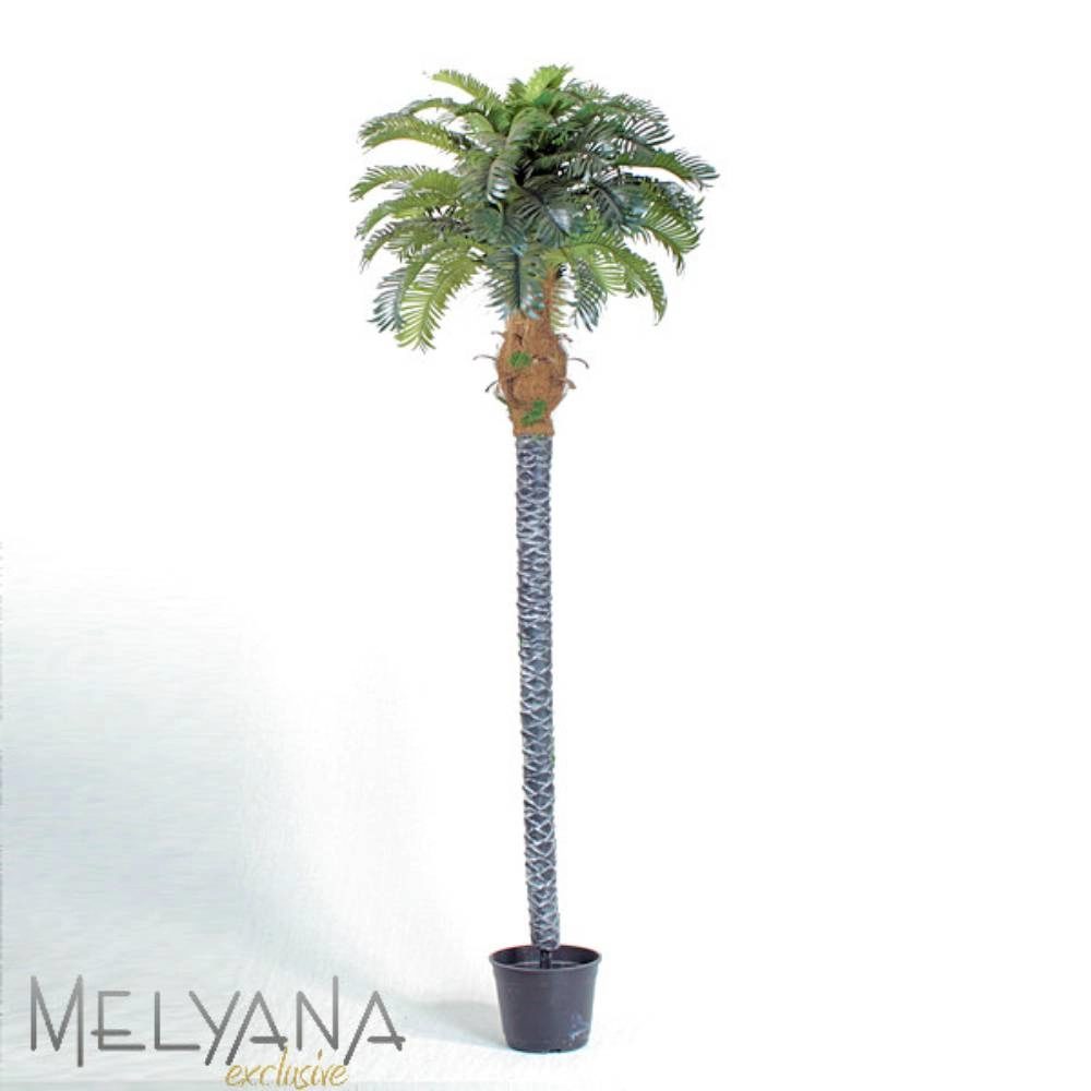 Planta Permanente Melyana Palmeira Fenix Super 2,10m