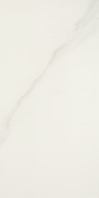 Portobello Porcelanato 60x120 Michelangelo Polido Retificado Portobello Porcelanato 60x120 Michelangelo Polido Retificado