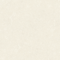 Portobello Porcelanato 60x60 Marmore Bianco Natural Bold